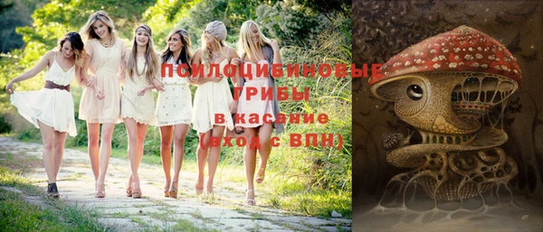 сатива Лагань