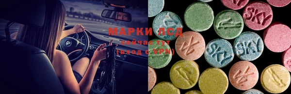 крисы Липки