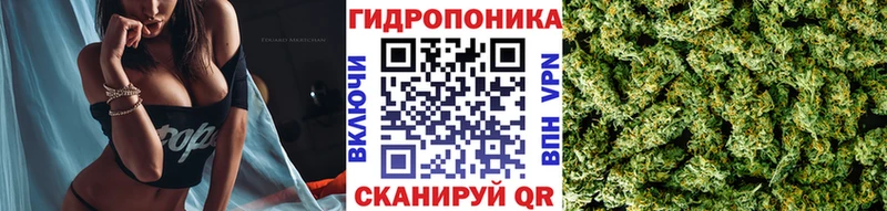 Купить где  Учалы  Бошки марихуана Amnesia 